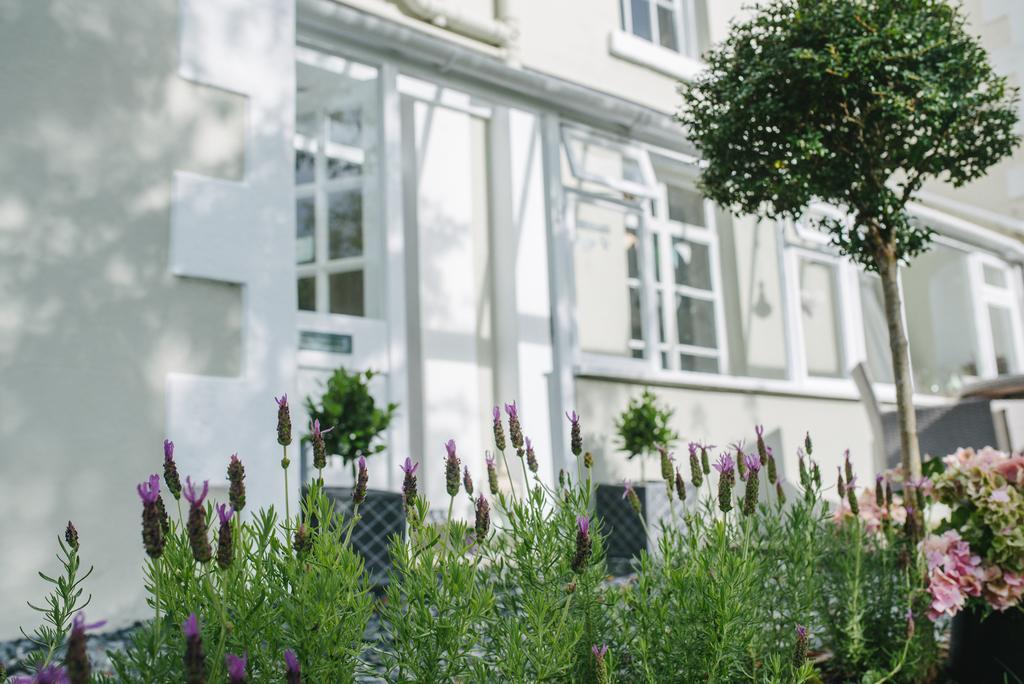 Apple Tree Bed And Breakfast Tavistock  Bagian luar foto